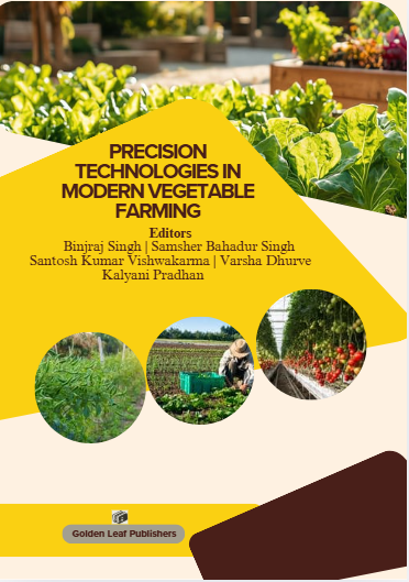 Precision Technologies in Modern Vegetable Farming